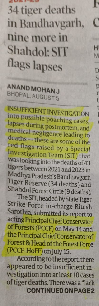 34 tiger deaths in Bandhavgarh,nine more in Shahdol : SIT flags lapses.